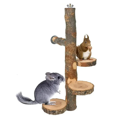 Parrot Stand Squirrel Training Swing Pet Stand Toy Small Pet Exercise Play