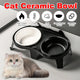 Cat Feeding Bowl Set Slanted Double Bowl Ceramic Raised Pet Feeder Non Slip Base