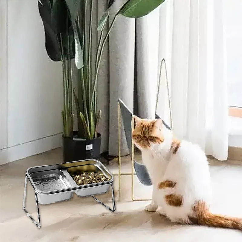 Cat Food Bowl Set Double Tilted Stainless Steel Pet Feeding Bowl Non Slip Stand