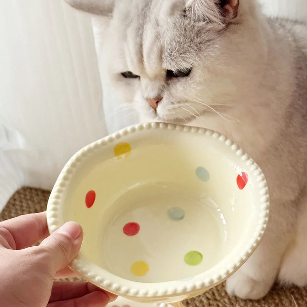 Ceramic Pet Food Bowl with Wooden Base Non Slip for Cats Small Dogs Easy Clean