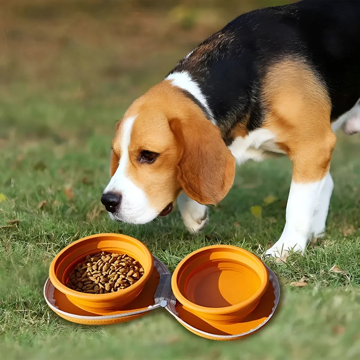 Pet Travel Feeding Bowl Set Portable Foldable Dog Cat Food Water Dish Outdoor - Brown