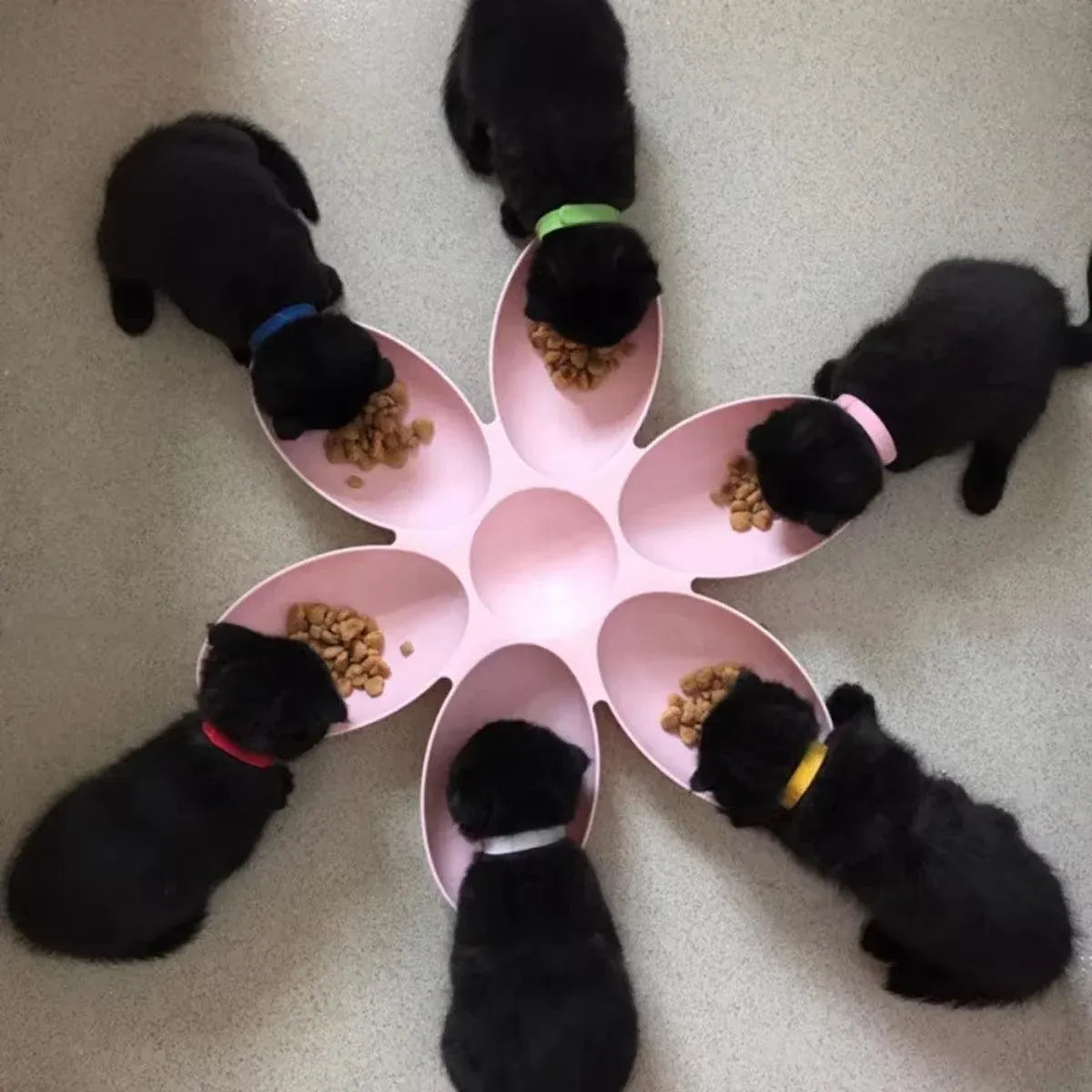 Multi Cat Feeding Bowl Petal Design Kitten Milk Bowl Puppy Dog Food Water Dish - Green