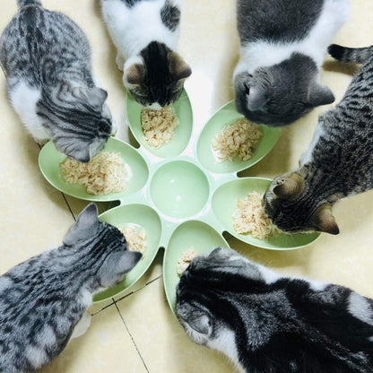 Multi Cat Feeding Bowl Petal Design Kitten Milk Bowl Puppy Dog Food Water Dish - Pink