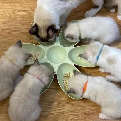 Multi Cat Feeding Bowl Petal Design Kitten Milk Bowl Puppy Dog Food Water Dish - Pink