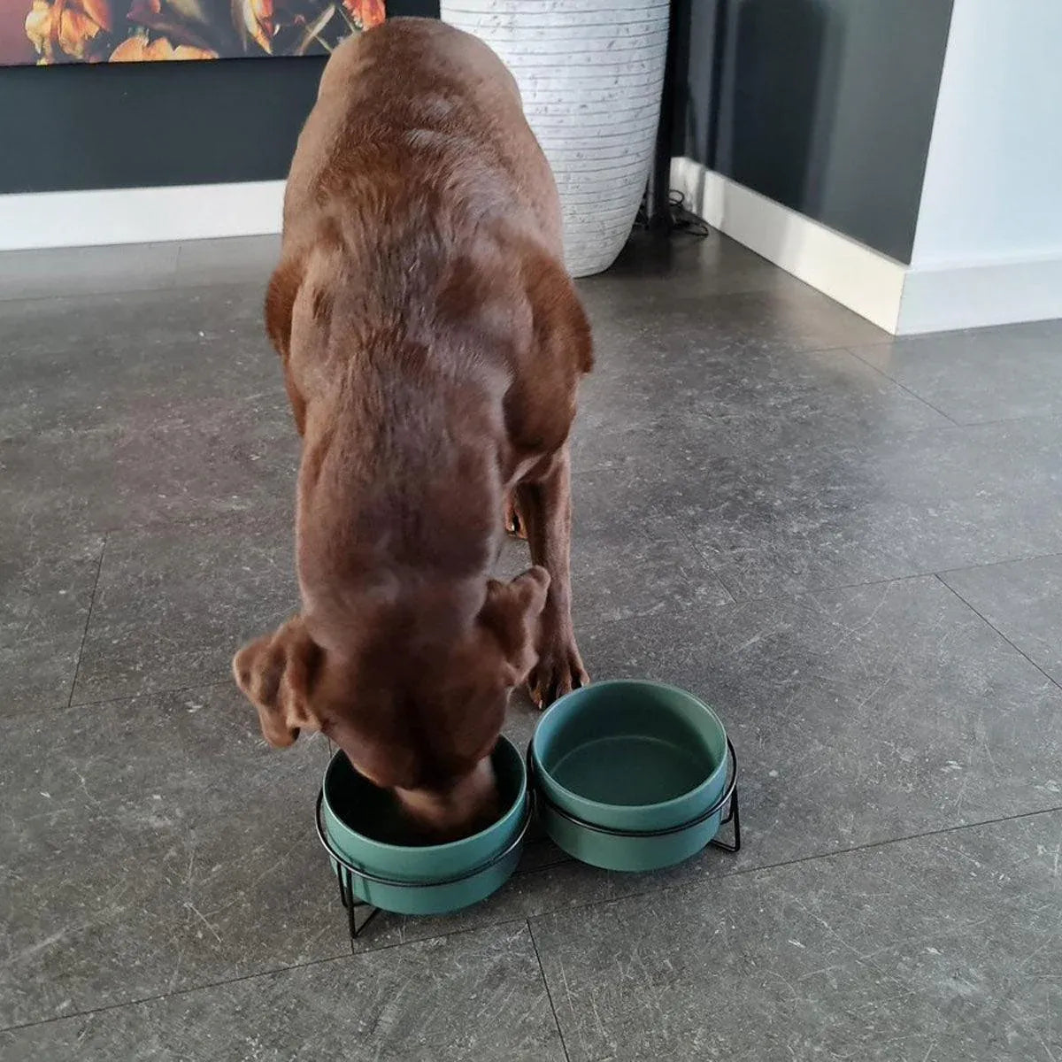 Ceramic Pet Bowl Cat Food Bowl Dog Bowl Drinking Bowl Pet Water Food Dish - Grey