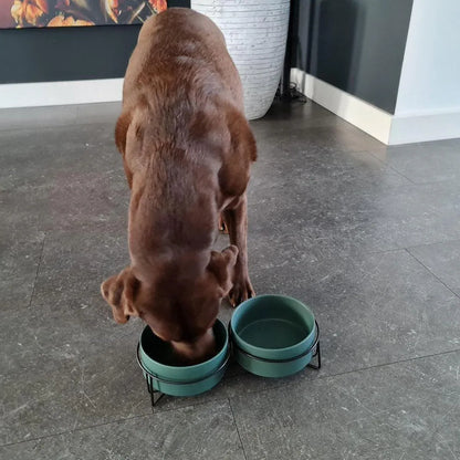 Ceramic Pet Bowl Cat Food Bowl Dog Bowl Drinking Bowl Pet Water Food Dish - Grey