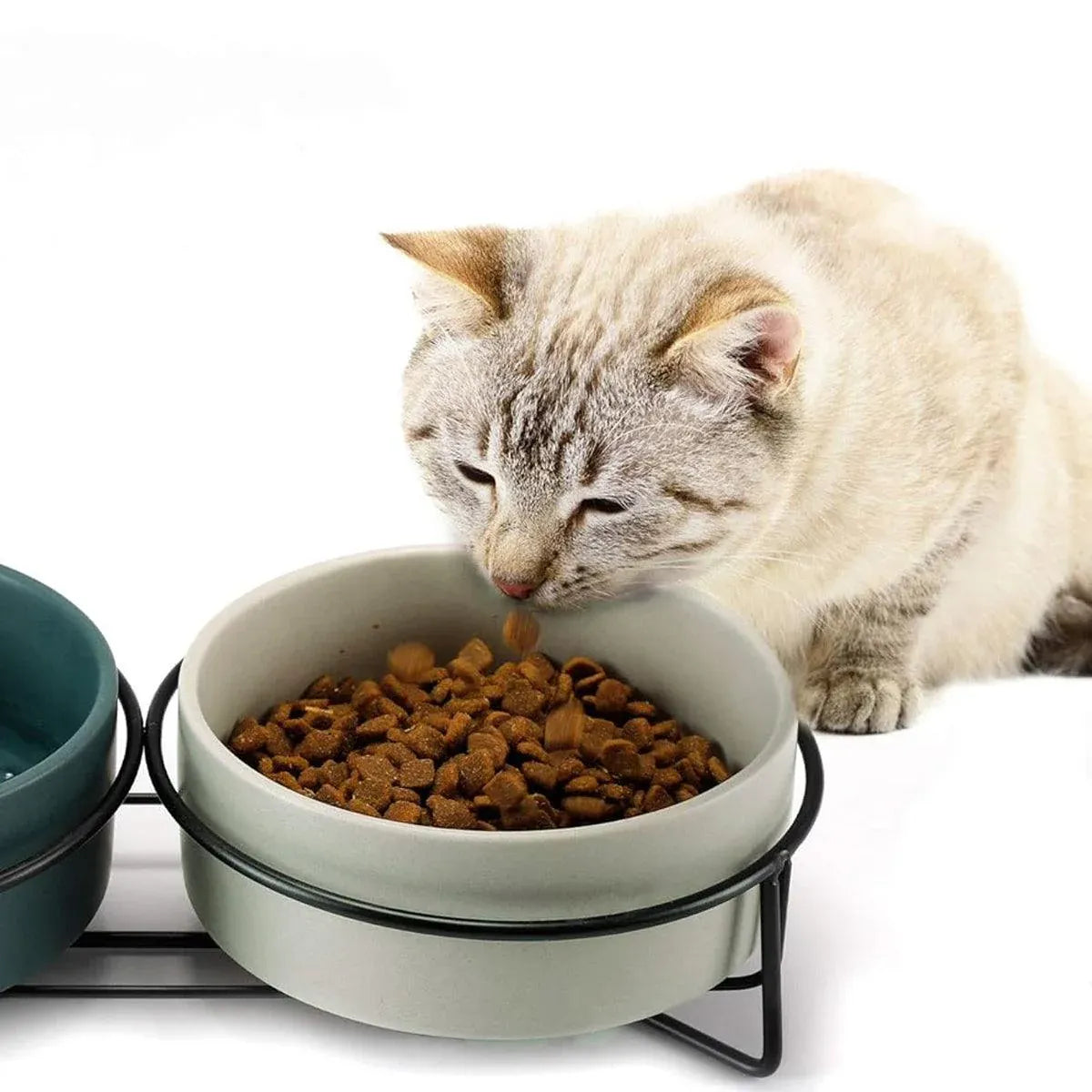 Ceramic Pet Bowl Cat Food Bowl Dog Bowl Drinking Bowl Pet Water Food Dish - Pink