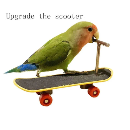 2pcs Parrot Finger Scooters Toys Interactive Parrot Play Scooter Set for Birds - Basic Model