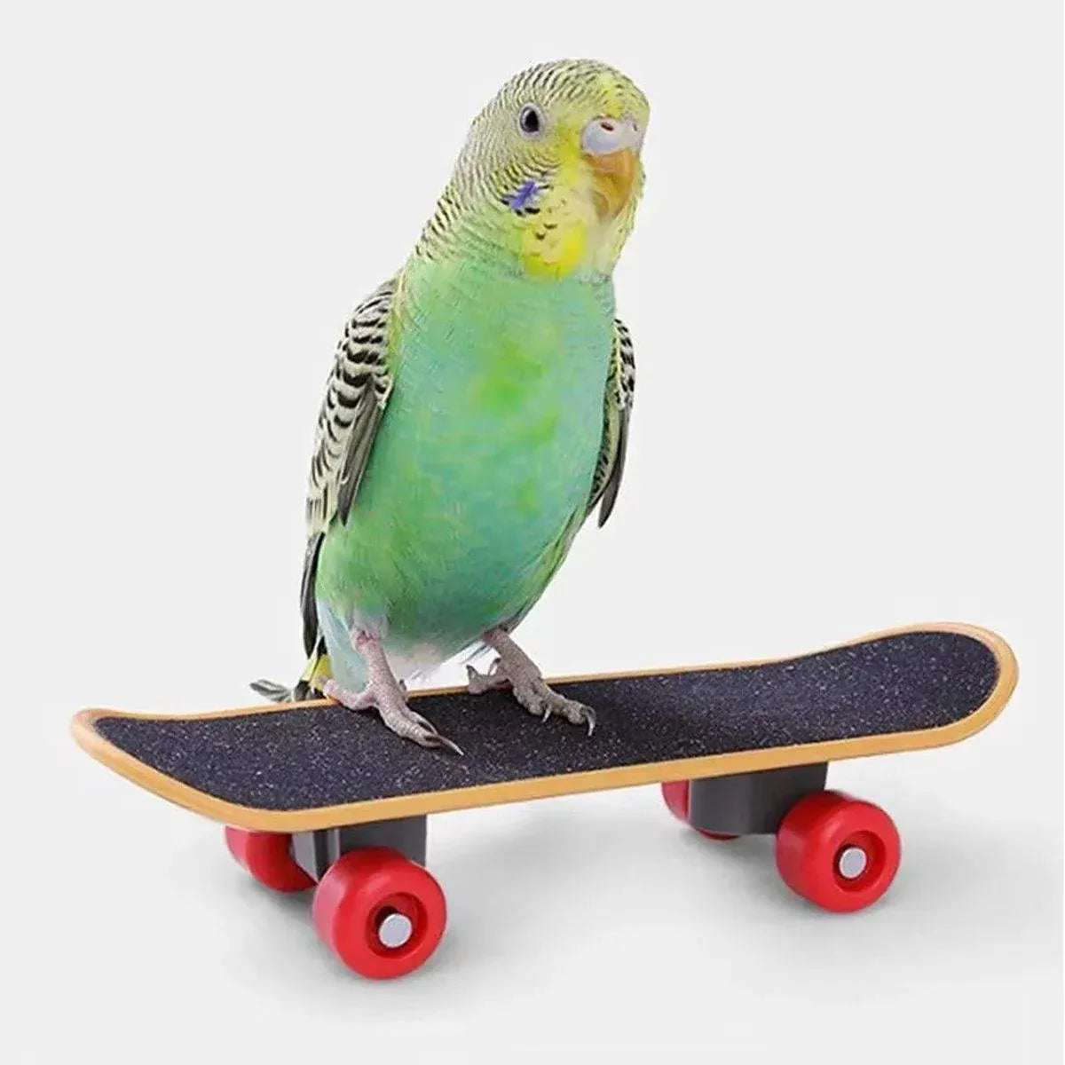 2pcs Parrot Finger Scooters Toys Interactive Parrot Play Scooter Set for Birds - Basic Model