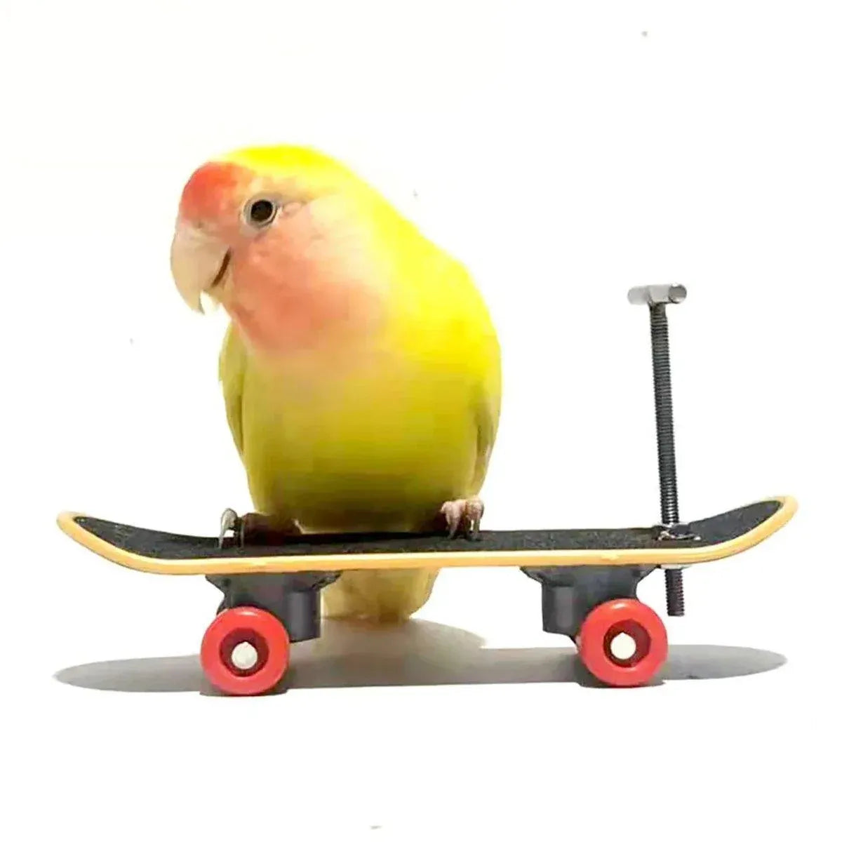 2pcs Parrot Finger Scooters Toys Interactive Parrot Play Scooter Set for Birds - Basic Model
