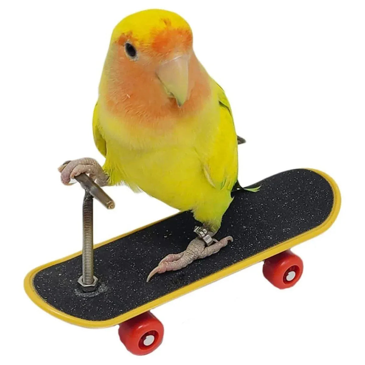 2pcs Parrot Finger Scooters Toys Interactive Parrot Play Scooter Set for Birds - Basic Model