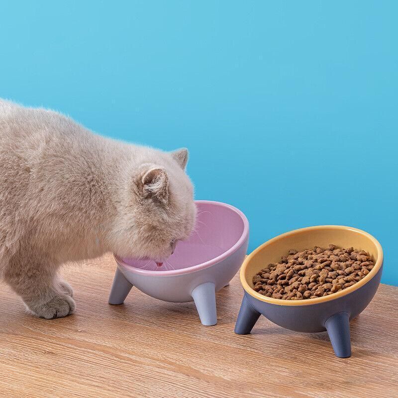 Raised Cat Bowl Pet Feeder Pet Bowl Elevated Dog Bowls 15° Tilted Pet Water Bowl - Moff Green