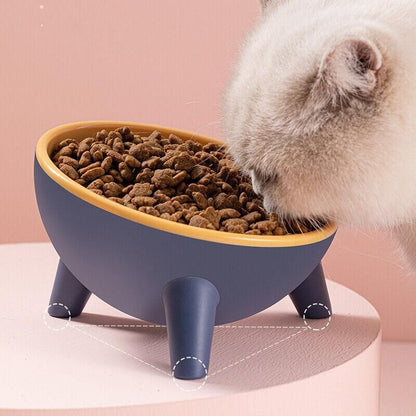 Raised Cat Bowl Pet Feeder Pet Bowl Elevated Dog Bowls 15° Tilted Pet Water Bowl - Rock Yellow