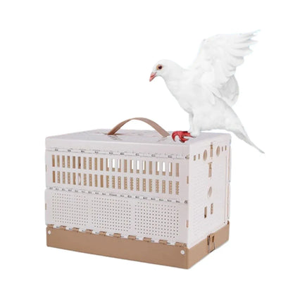Pigeon Cage Foldable Plastic Homing Pigeon Crate Carrier Training Transport Box