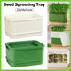 Seedling Tray Sprout Tray Soilless Hydroponic Planting Pot for Indoor Gardening - White - Mekamart Australia