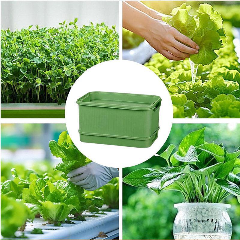 Seedling Tray Sprout Tray Soilless Hydroponic Planting Pot for Indoor Gardening - White - Mekamart Australia