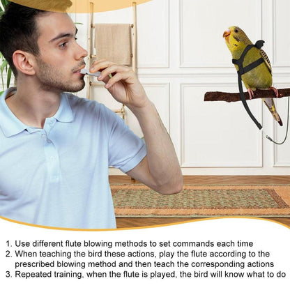 Bird Training Whistle Pet Bird Equipment Tease Lead Whistle for Pet Birds Parrot - Gold