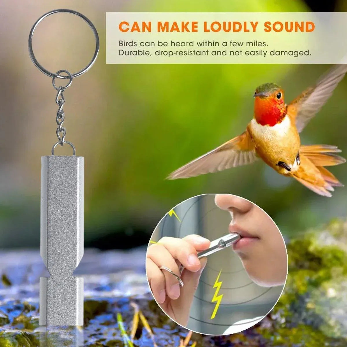 Bird Training Whistle Pet Bird Equipment Tease Lead Whistle for Pet Birds Parrot - Silver