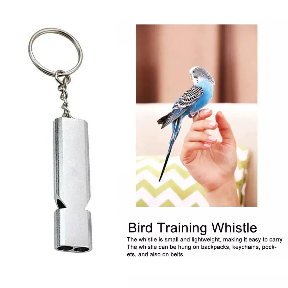 Bird Training Whistle Pet Bird Equipment Tease Lead Whistle for Pet Birds Parrot - Silver