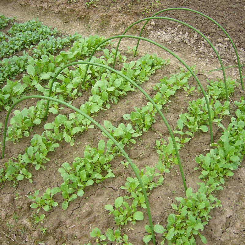 6PCS Greenhouse Plant Hoops Garden Tunnel Support for Row Covers and Netting - Mekamart Australia