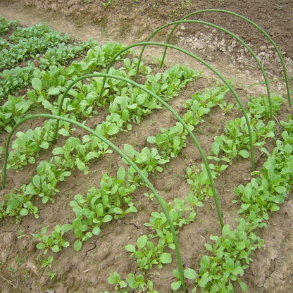 6PCS Greenhouse Plant Hoops Garden Tunnel Support for Row Covers and Netting - Mekamart Australia