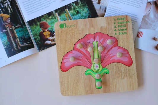 Montessori Parts of a Flower Puzzle - Mekamart Australia