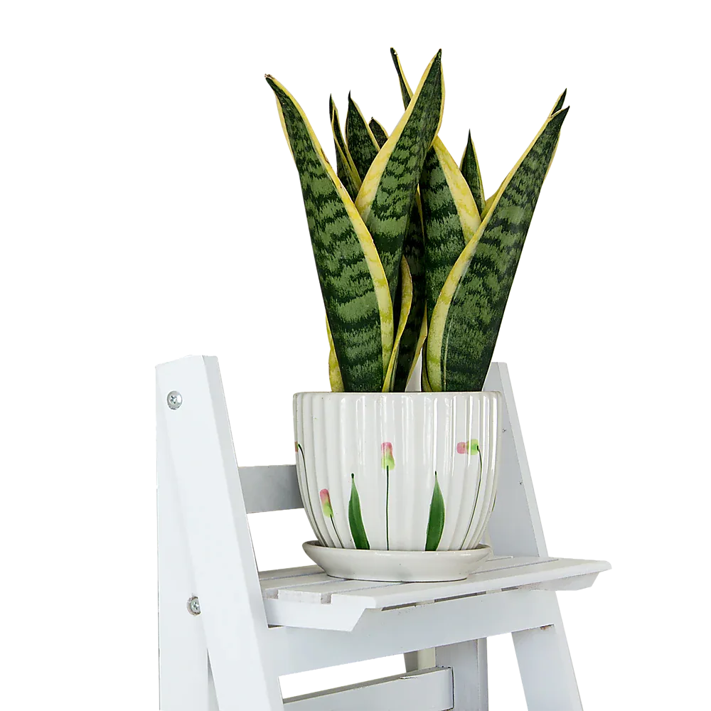 5 Tier Wooden Ladder Shelf Stand Storage Book Shelves Shelving Display Rack - Mekamart Australia