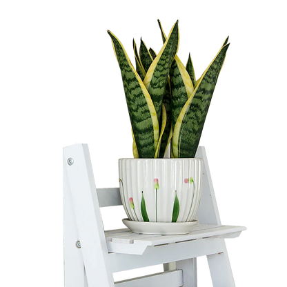 5 Tier Wooden Ladder Shelf Stand Storage Book Shelves Shelving Display Rack - Mekamart Australia