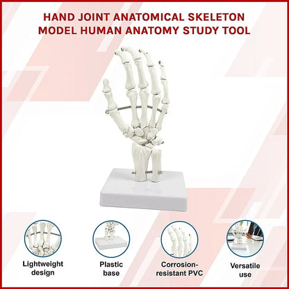 Hand Joint Anatomical Skeleton Model Human Anatomy Study Tool - Mekamart Australia