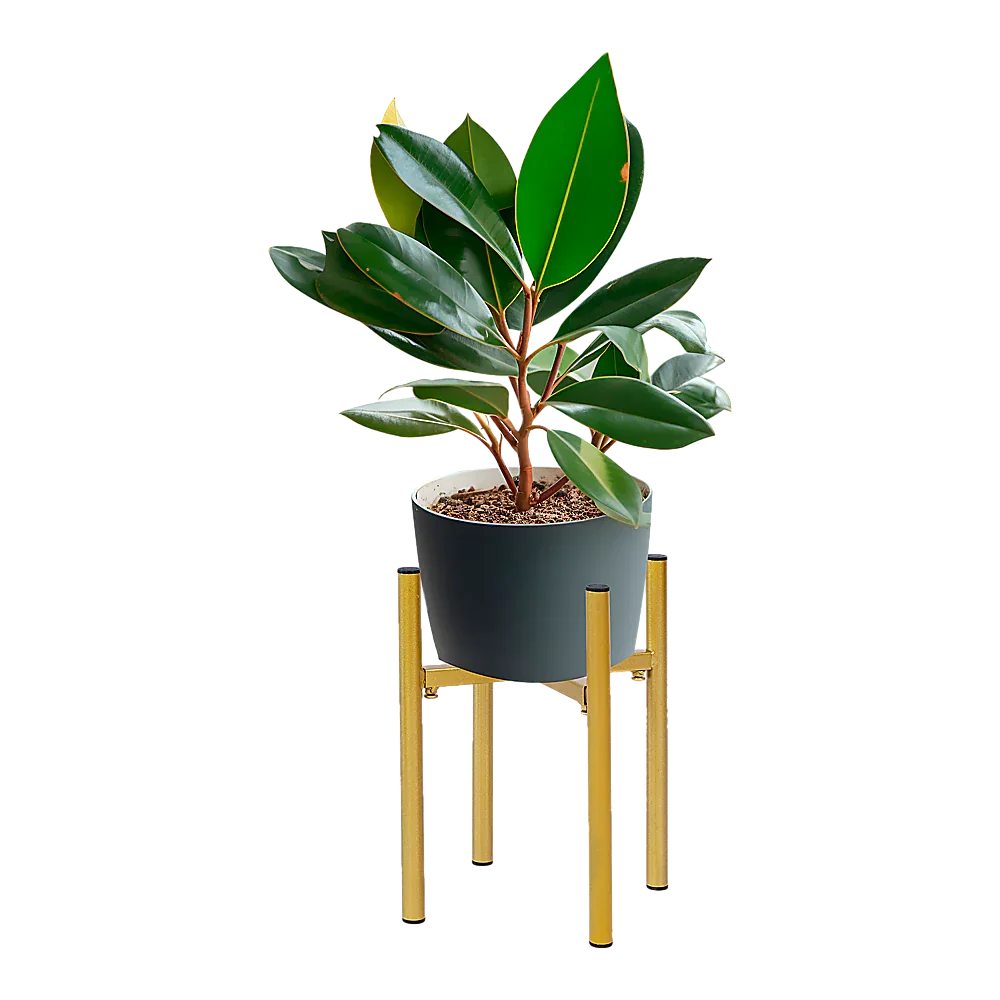 Metal Plant Stand Adjustable Indoor - Mekamart Australia