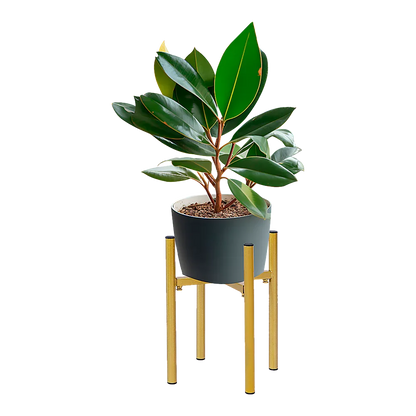 Metal Plant Stand Adjustable Indoor - Mekamart Australia