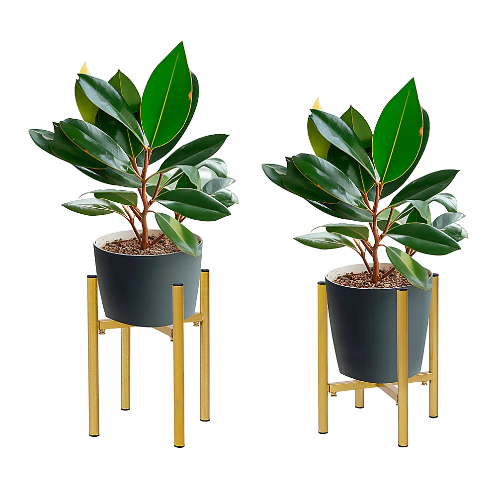Metal Plant Stand Adjustable Indoor - Mekamart Australia