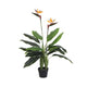 Artificial Bird of Paradise Plant 110cm