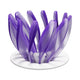 V60 Pour Over Coffee Dripper - Heat Resistant Brew Filter Cone - Purple(White Base) - Mekamart Australia