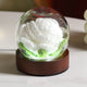 White Rose Handcrafted Crochet Flower LED Night Light - USB Rechargeable Glass Dome Lamp with Wood Base, 3 Color Modes - Mekamart Australia