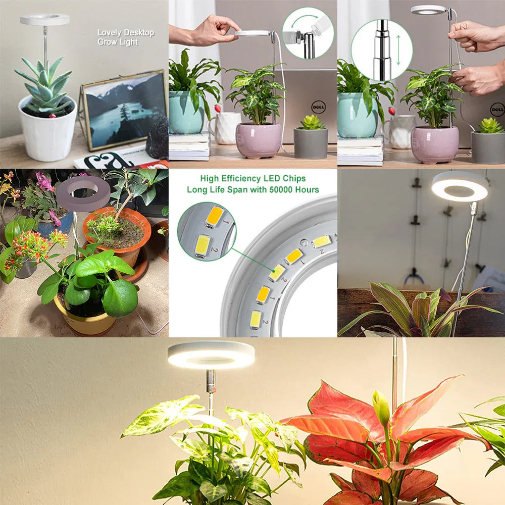 White Full Spectrum LED Grow Light with Telescopic Stake for Indoor Plants - Mekamart Australia