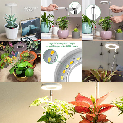 White Full Spectrum LED Grow Light with Telescopic Stake for Indoor Plants - Mekamart Australia