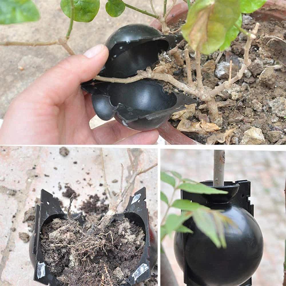 5-Pack Black Reusable Plant Air Layering Propagation Pod (Diameter: 5cm) - Anti-Waterlogging Grafting Root Ball Rooting Device for Flower & Fruit Trees - Mekamart Australia