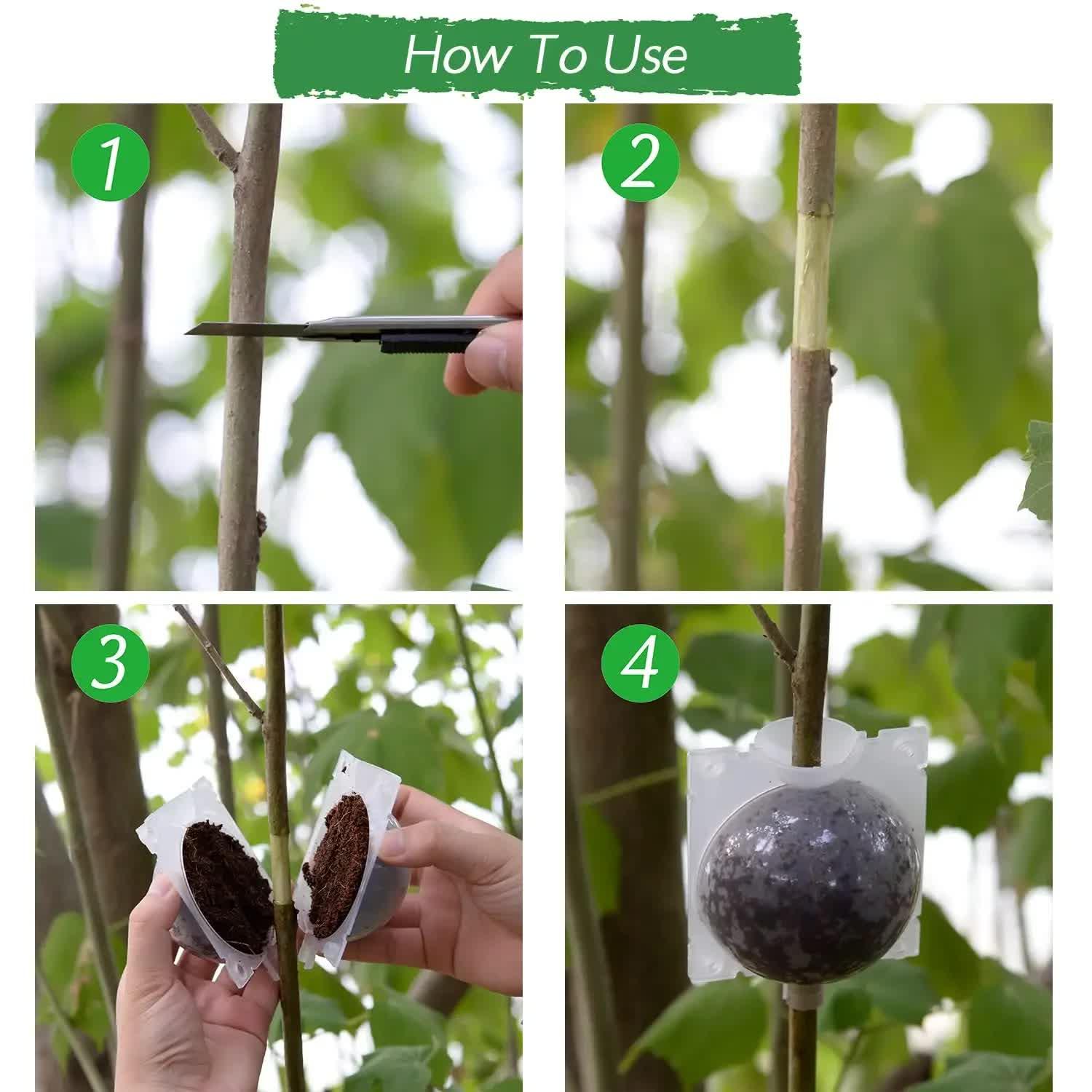 5-Pack Transparent Reusable Plant Air Layering Propagation Pod (Diameter: 5cm) - Anti-Waterlogging Grafting Root Ball Rooting Device for Flower & Fruit Trees - Mekamart Australia