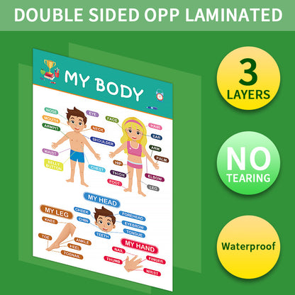 12-Pack Educational Posters for Kids - Laminated Preschool & Kindergarten Learning Charts - ABCs, Numbers, Shapes, Solar System, Weather & More