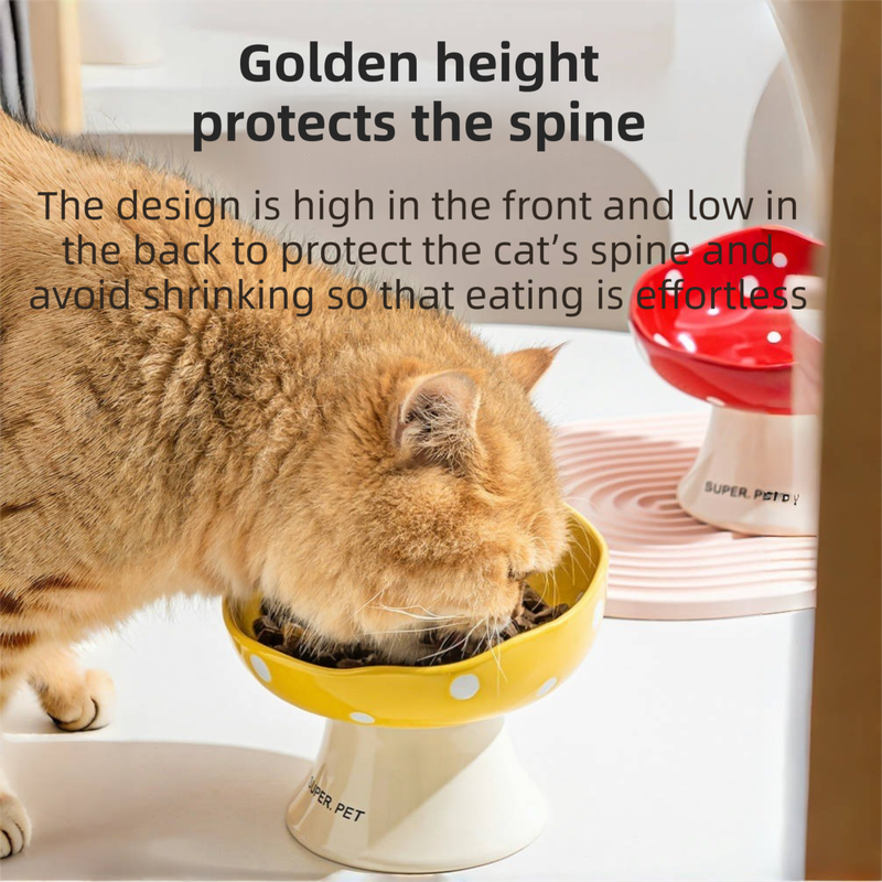 Red and Black Elevated 15° Tilted Ceramic Cat Bowl - Anti-Chin Acne Glaze Finish, Non-Slip Weighted Base & Neck Protection Pet Feeder