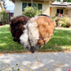 Bird Heart-Shaped Nest with Hanging Metal Frame - Outdoor Garden Decor & Wild Bird Support -  Unique Yard Art for Backyard Sanctuaries and Nature Lover Gifts