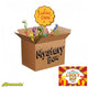 Mystery Box - BIG SURPRISE- Lucky Dips 2025 - Mekamart Australia