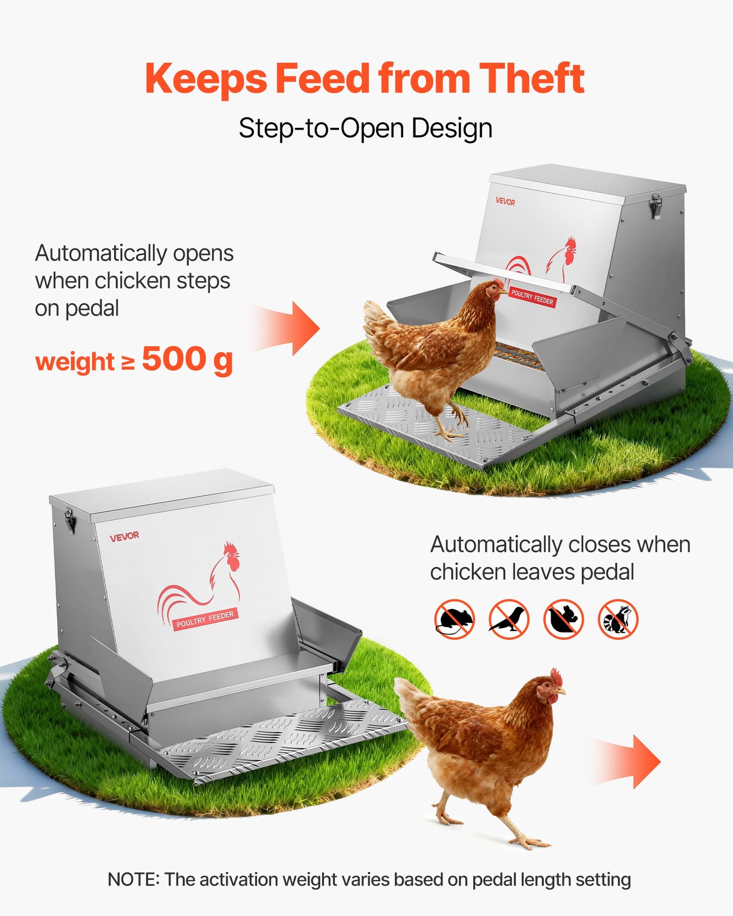 Automatic Chicken Feeder, 18.14 kg Capacity, Rainproof Treadle Poultry Feeder with Lockable Lid, No Waste, Galvanized Steel Construction, Outdoor Use, for Chicken, Bantams, Poultry, Pheasants