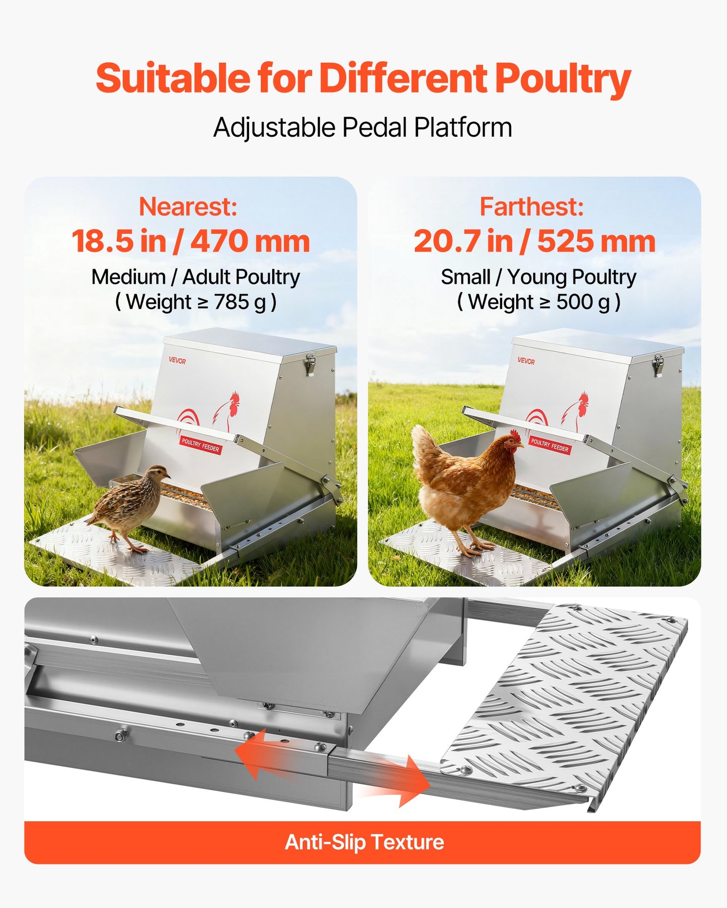 Automatic Chicken Feeder, 18.14 kg Capacity, Rainproof Treadle Poultry Feeder with Lockable Lid, No Waste, Galvanized Steel Construction, Outdoor Use, for Chicken, Bantams, Poultry, Pheasants