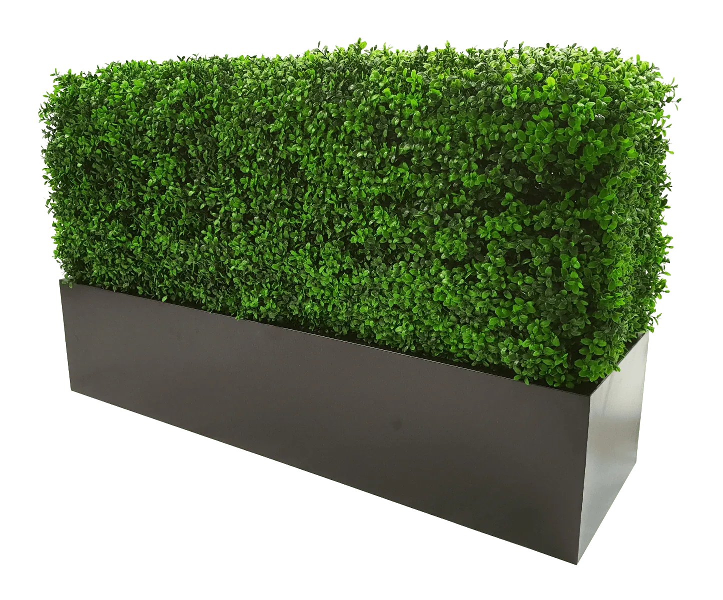 Deluxe Portable Buxus (Bright) UV Resistant 100cm Long x 50cm High x 25cm Wide - Mekamart Australia